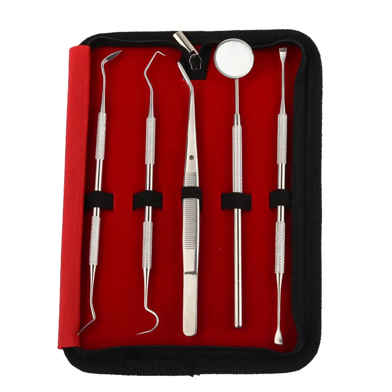 Dental Cleaning Tools 5pcs Dentist Tool Kit Dental Picks Set Stainless