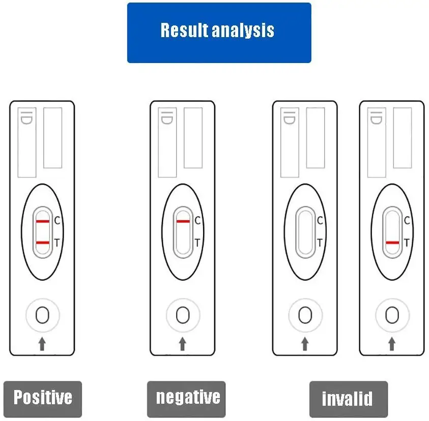 Rapid Test Kit-4.jpg