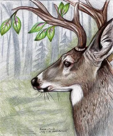 

diamond painting wholesale Hot Selling crystal art painting Digital Oil Painting By Numbers Acrylic Paint By Number