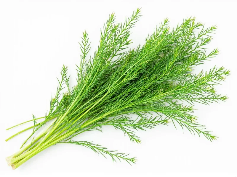 How to Identify Dill: Key Characteristics and Tips
