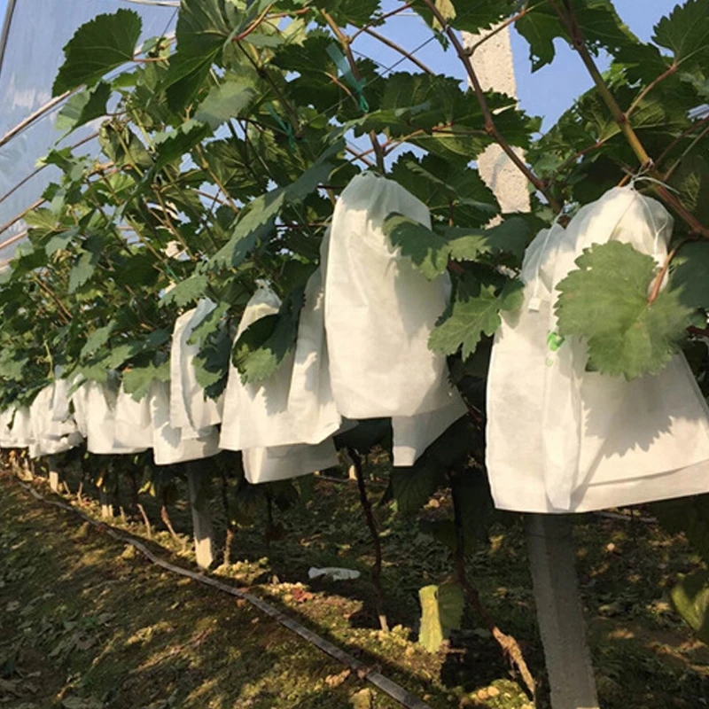 

Non-woven Nursery Bag Eco-Friendly Plant Grow Seedling Bags 100 Grape Bagging Planting Anti-bird Waterproof And Insect Proof, As photo