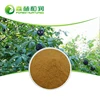 Best price manyprickle acanto-panax root free sample with high sales volume