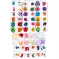 

Top selling mixed colors natural pressed dry flower decoration mini nail art dry flower