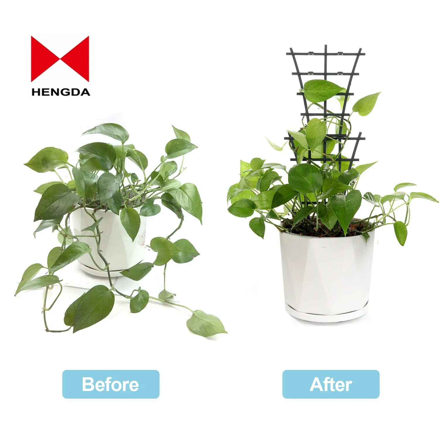 Plastic Climbing Plant Support Garden Flower Stem Ring Trellis Cage