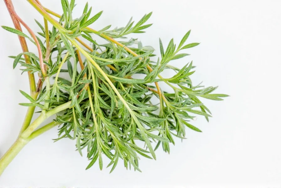 Tarragon Sauce
