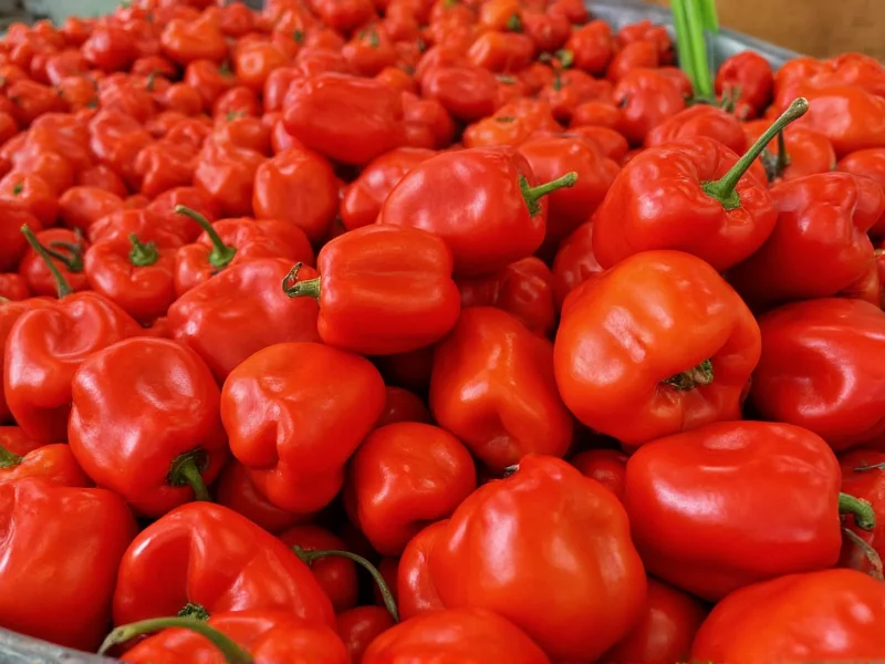 Is Paprika Spicy Hot? The Complete Heat Guide