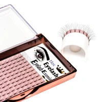 

2D 3D 4D 5D 7D volume eyelashes lashes extension fan