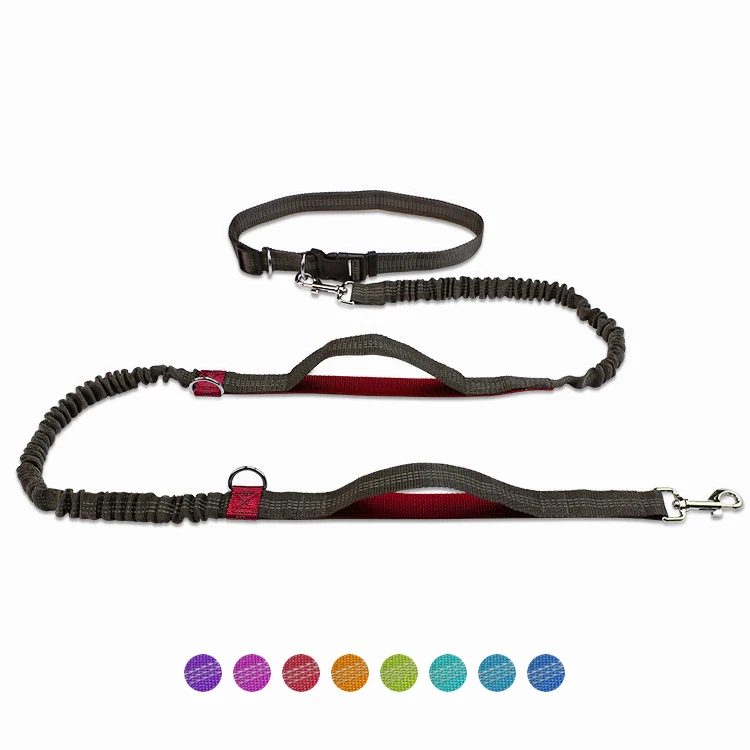 

Dropshipping Reflective Bungee Jogging Hands Free Double Handle Waist Belt Running Pet Dog Lead Leash