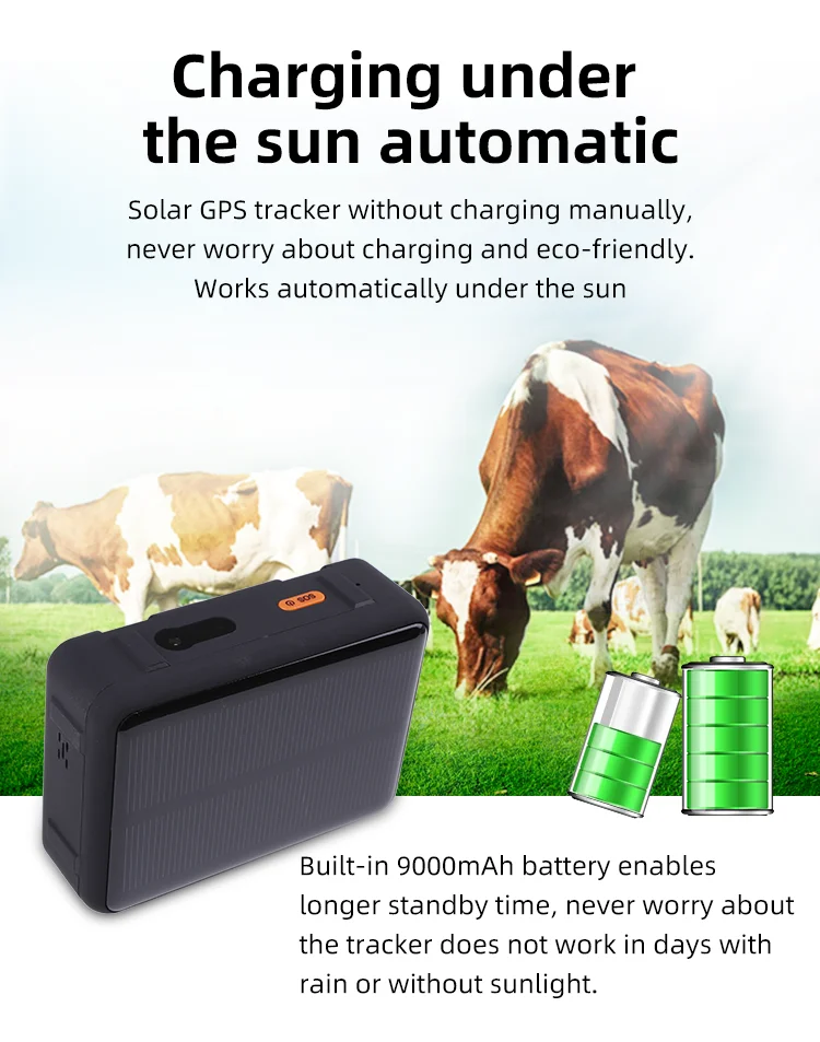 4g Battery Powered Gps Devices For Livestock Tracking Gps Cattle ...