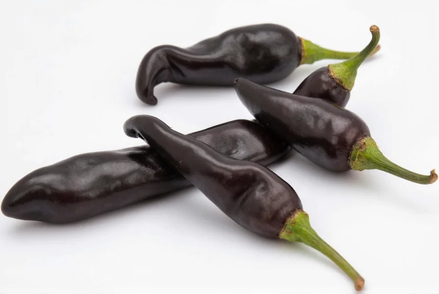Black Pearl Hot Pepper: Characteristics, Heat & Uses