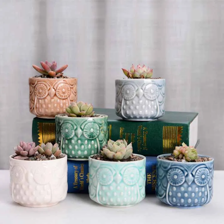 

Owl animal thumb pot ceramic crafts office home furnishing