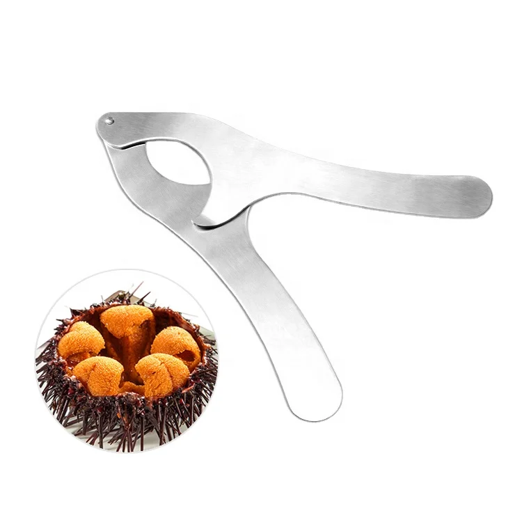 

Seafood Tools Hard Food Screwdriver Stainless Steel Sea Urchin Clip