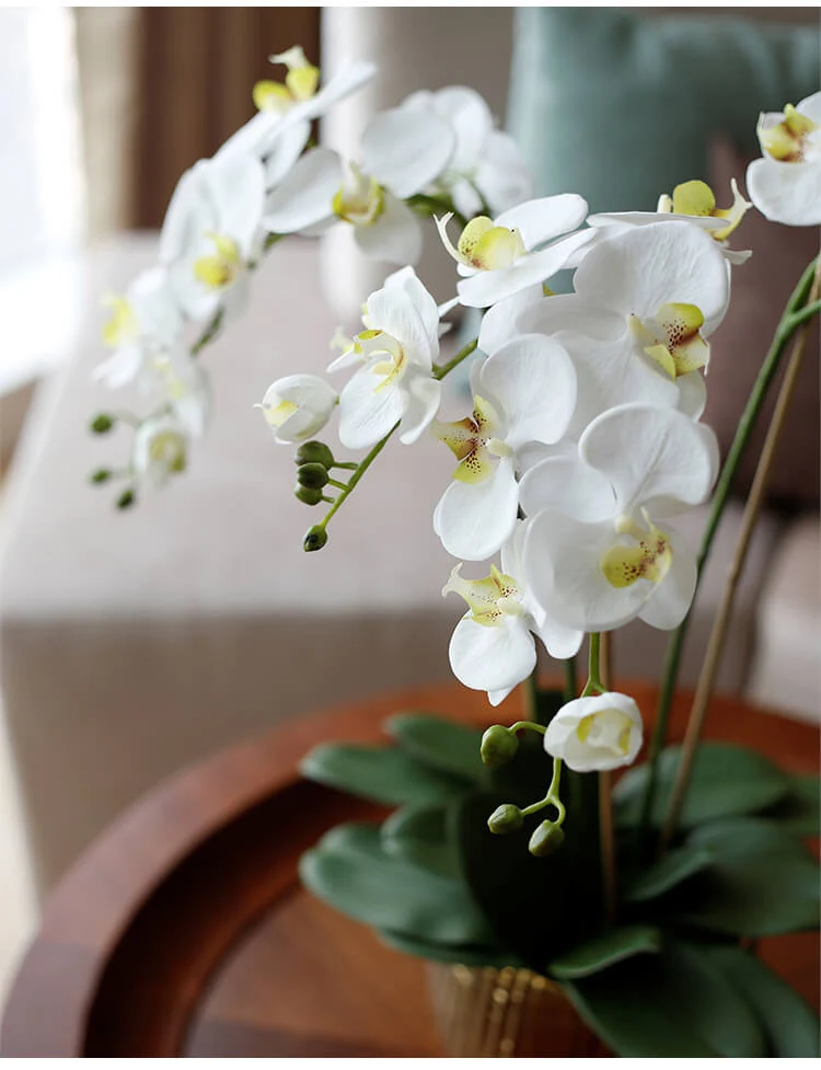 Large Real Touch Decorative Plants Phalaenopsis For Home Decor Silk Artificial Latex Flower Orchids Arrangement With Flowerpot