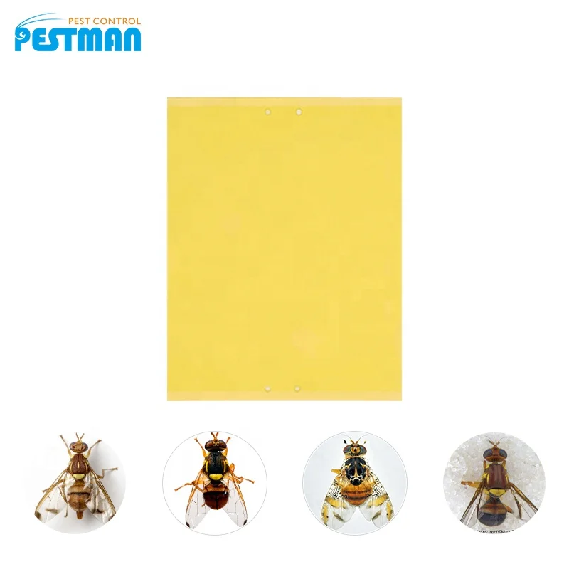 

Yellow Sticky Fly Paper Traps 20*25cm Board Insect Glue Trap Control Flying Plant Insect