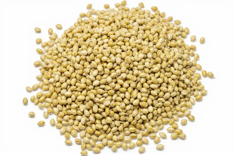 Close-up macro photography of yellow mustard seeds on white background showing their small spherical shape and pale yellow color, with a ruler showing scale of 1-1.5 millimeters