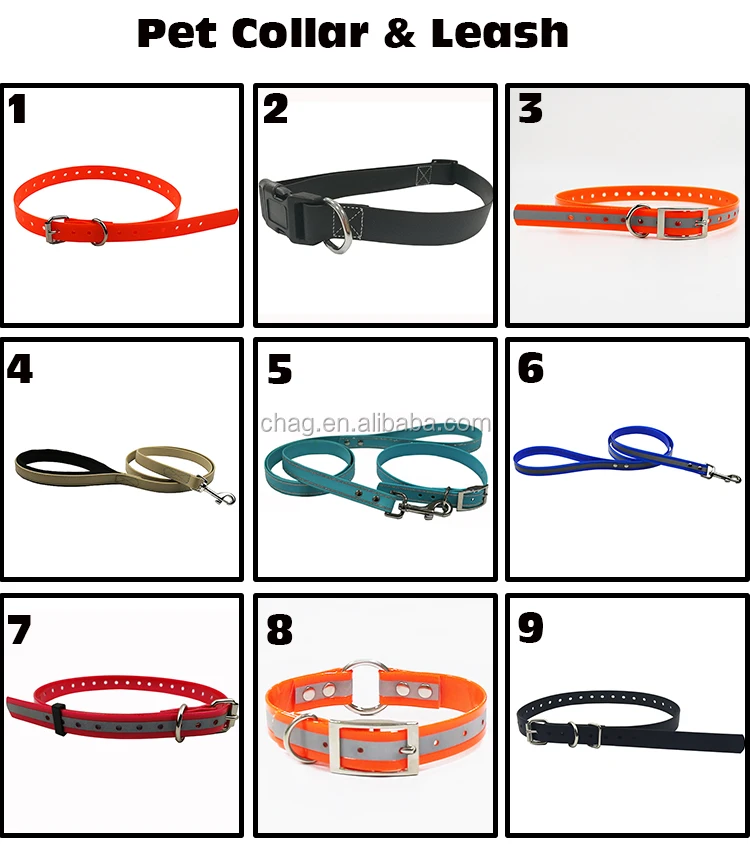  collar leash