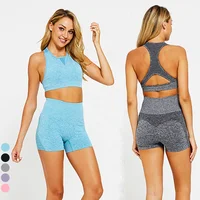 

Seamless Gym Wear Workout Clothing Seamless Shorts Yoga Set