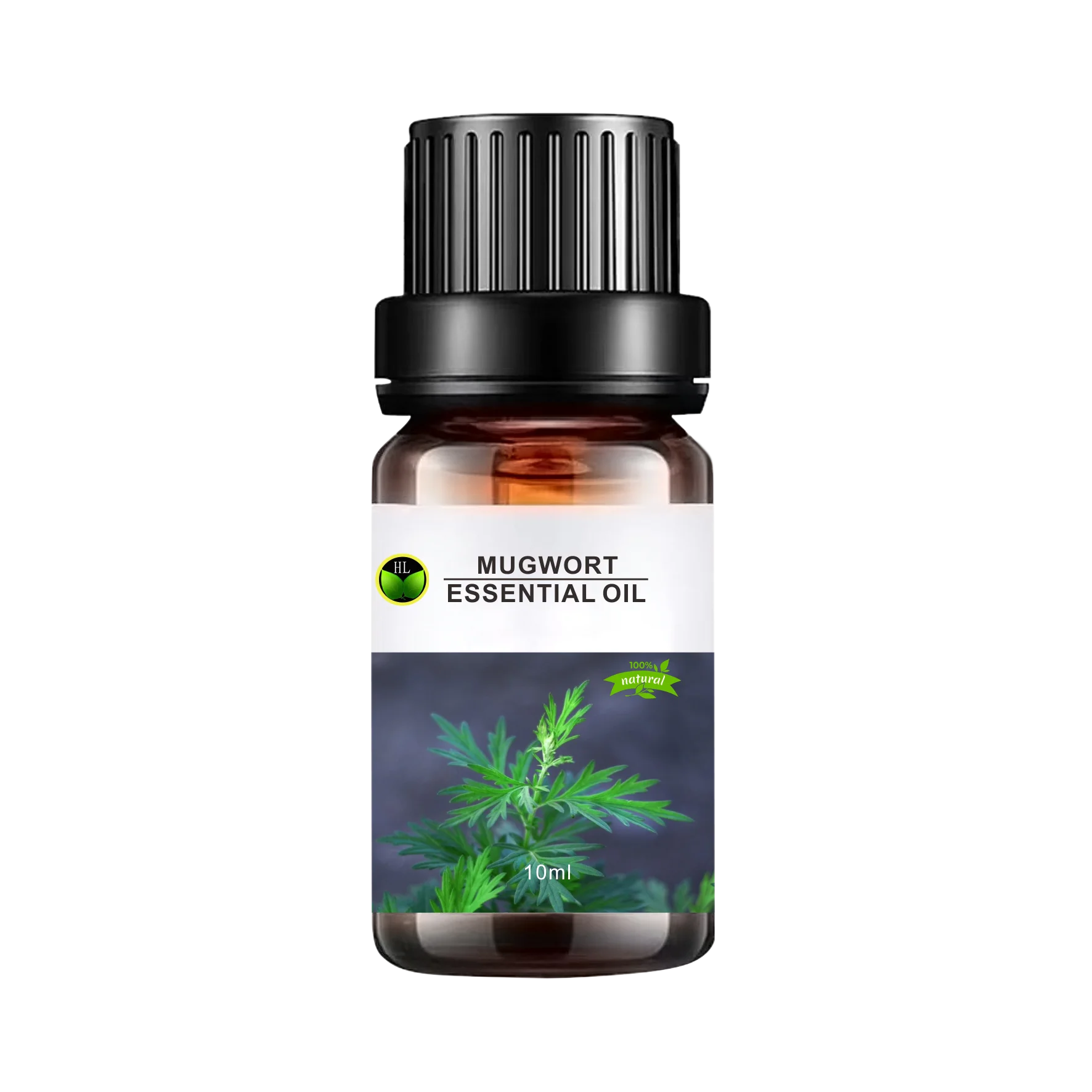

Wholesale 100% Pure&Natural mugwort Essential Oil in herbal extract