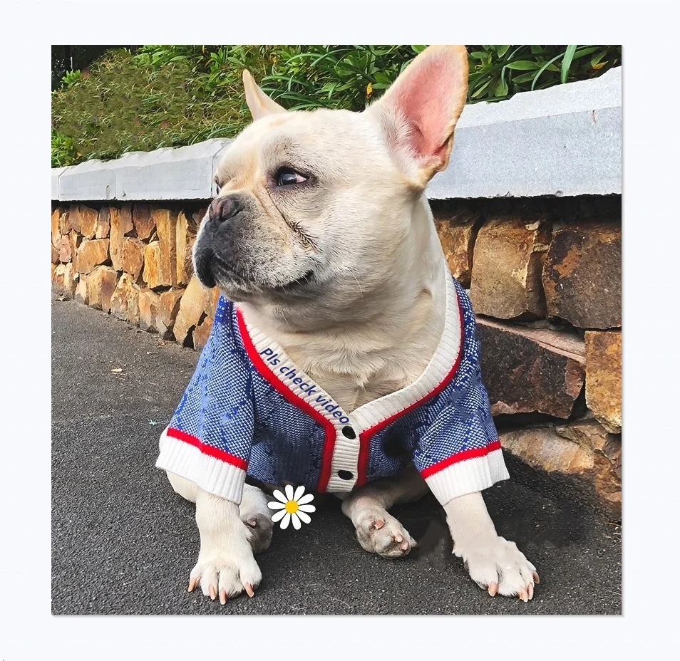 

Pet Clothes Custom Wholesale Luxury Brand G Classic Blue Design Dog Sweater Coat
