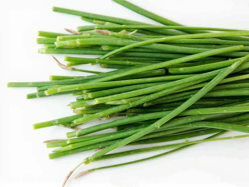 How to Dry Fresh Chives: 3 Proven Methods for Best Results