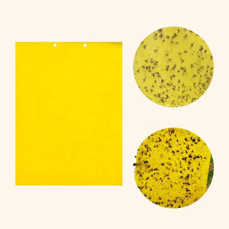 

Dual-sided Glue Yellow Sticky Trap Roll Type For Trapping Fly Insect, Whitefly, Aphid, Gnat, Bug in Greenhouse