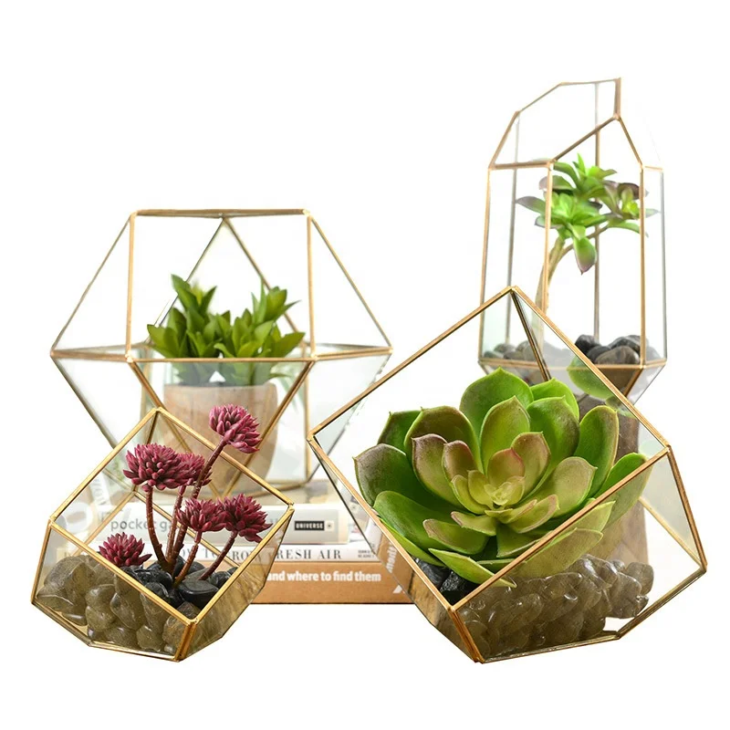 

Glass Irregular Geometric Diamond Terrarium Glass Plant