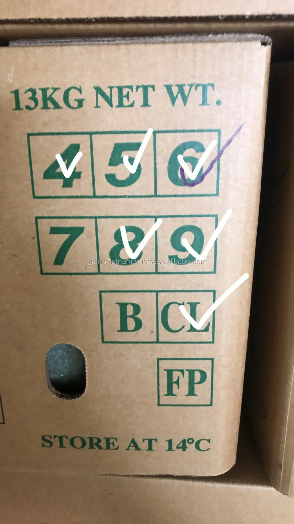 
Vietnam fresh cavendish banana high quality new crop 2020 