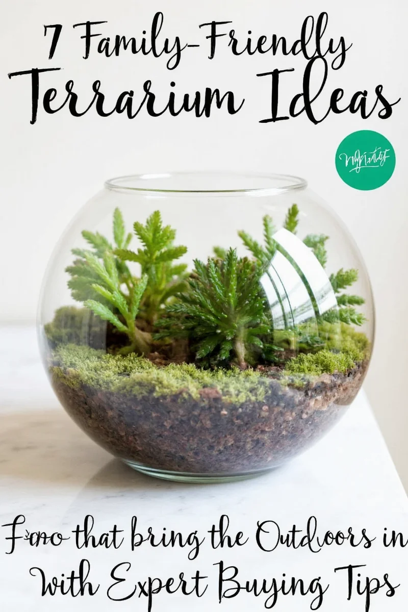 Terrarium with glow stones and LED lights