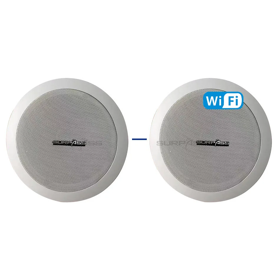 

Powered WIFI Active and Passive Speaker Subwoofer Coaxial Tweeter Horn Ceiling Speaker In Pair