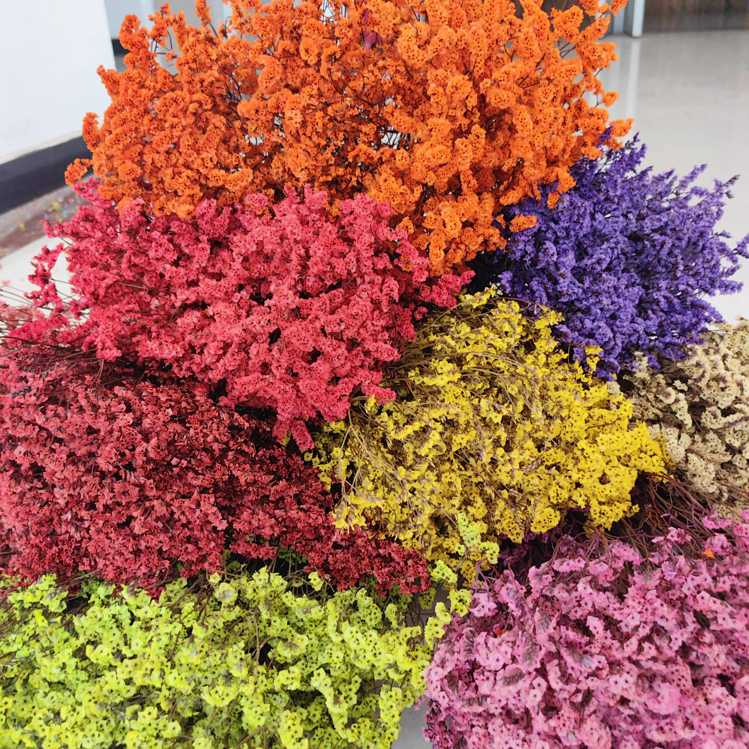 

Decorative Flowers Preserved Limonium Dried Flowers Eternal Crystal Grass For Home Decor