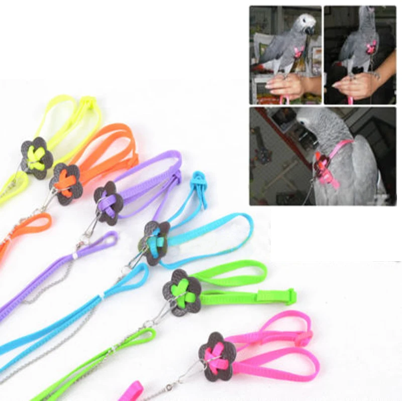 

New Parrot Adjustable Harness Bird Leash Multicolor Light Traction Rope For Small animals, As picture