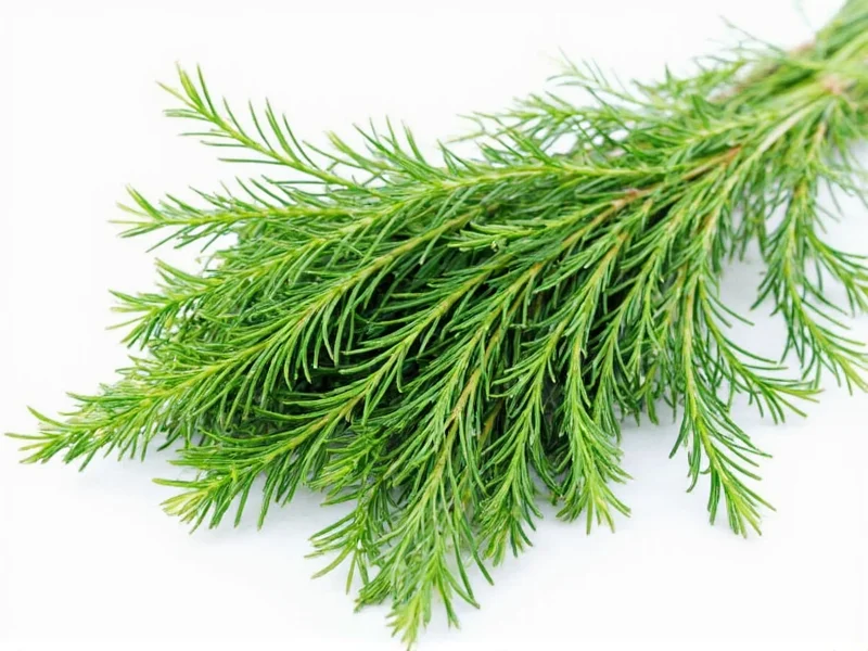 Can Dill Seed Substitute for Dill Weed? Practical Guide