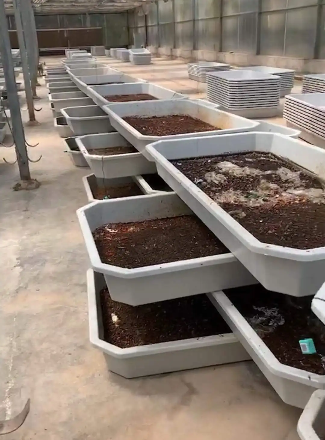 Insect Mealworm Black Soldier Fly Larvae Fiberglass Plastic Breeding