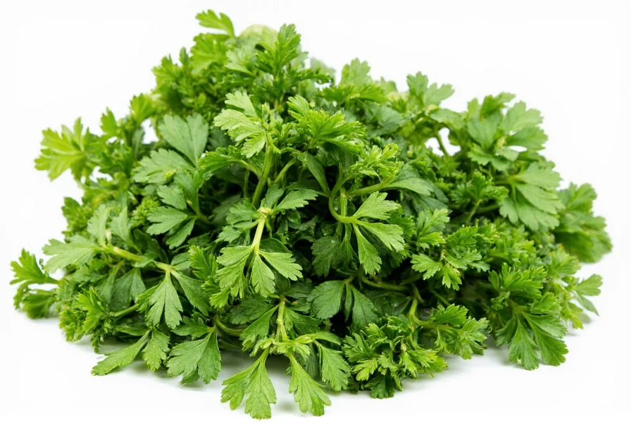 Herb Bowl