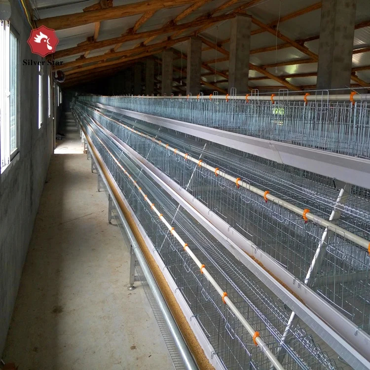 Low Cost chicken layer cage price, Chicken layer cage, Design layer chicken cages(China Factory).jpg