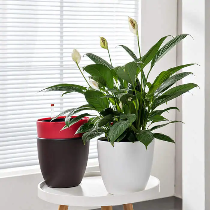 

Factory direct best price good quality wholesale plastic pp plant flower pot simple home indoor decorate table flower pots