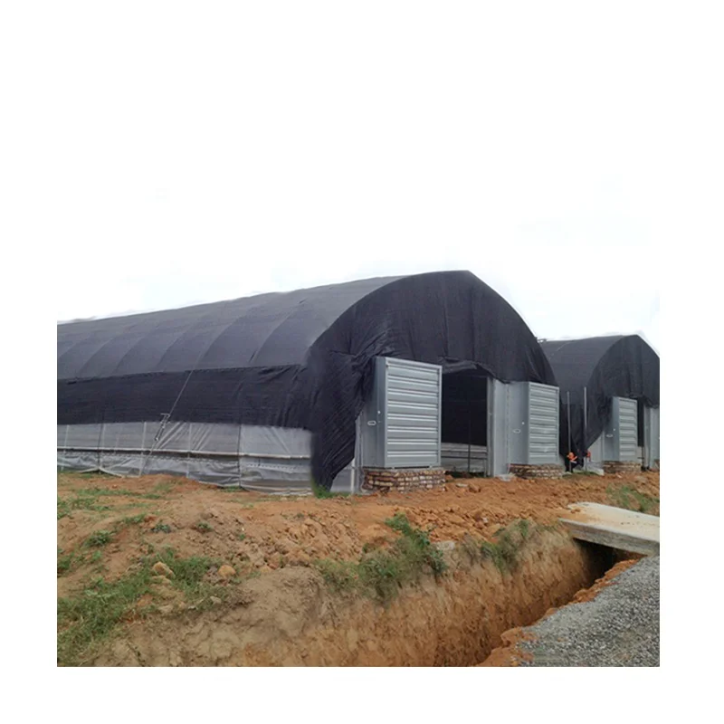 
low cost Conveniently polytunnel greenhouse with Excellent strength for agriculture 