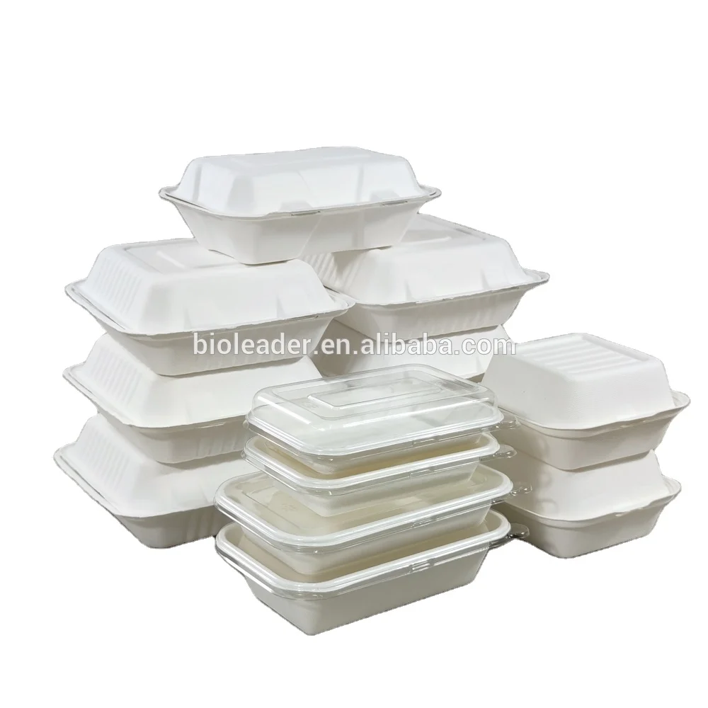 

Biodegradable Eco-friendly Disposable Bagasse Pulp One Time Use Food Packaging Box