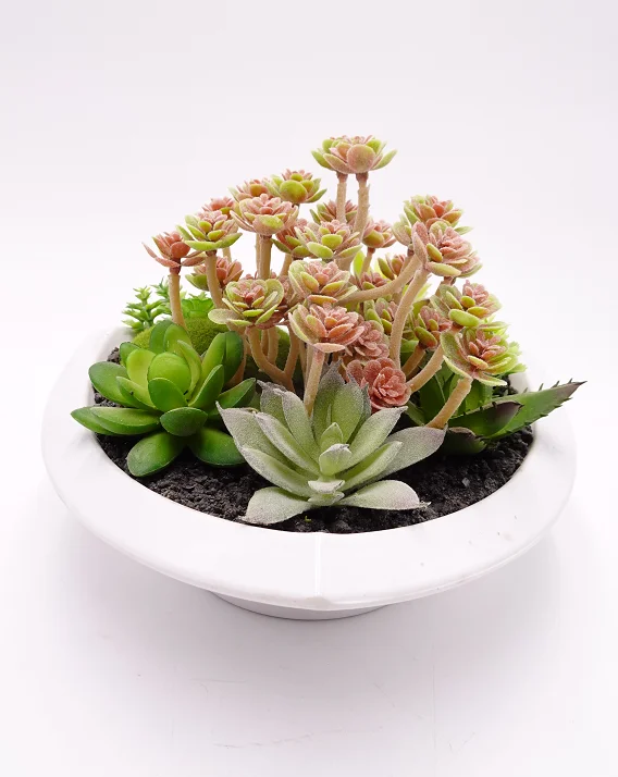 

Cute Cactus Plant Bonsai Mobile Plantas Artificiais Suculentas Artificiais Mexican Succulents Pot Flowers Artificial Home Plant, Customizable