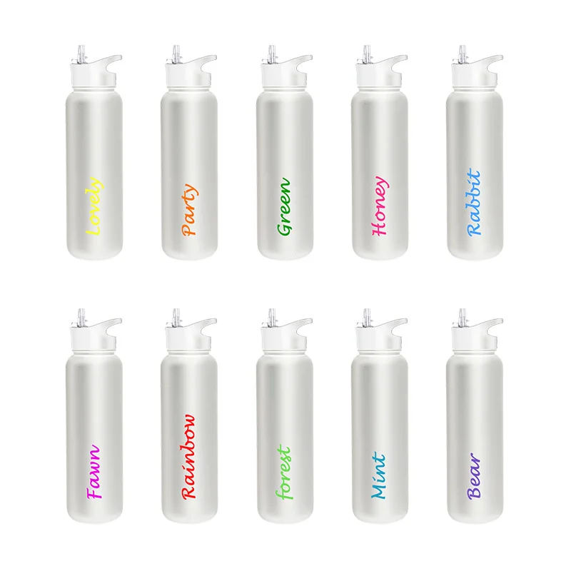 

UK TV show 750 ml popular island style stainless steel vacuum insulated gym sport water bottles with straw lid, Custom color