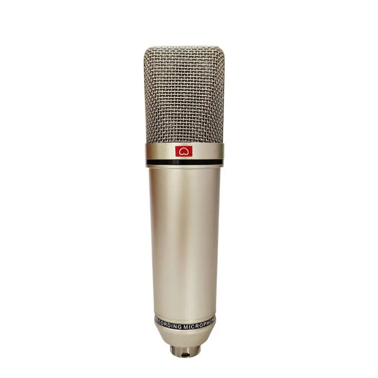 Studio recording microphone set condenser microphone for YouTube live broadcasting teaching singing