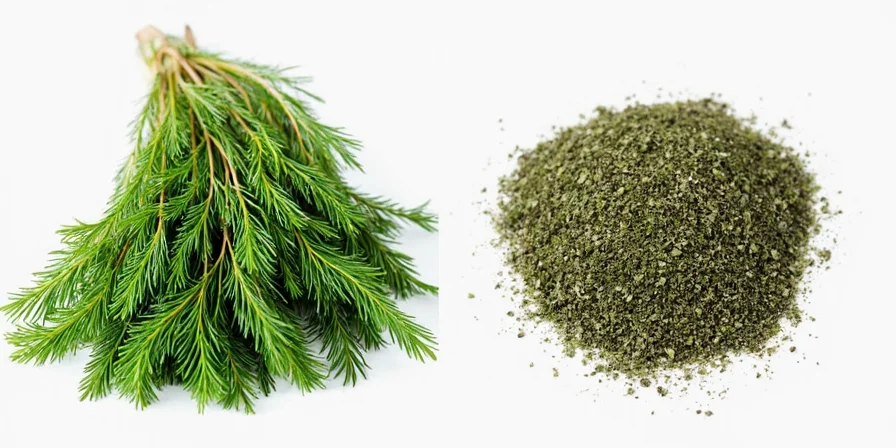 Dill spices on a spice rack