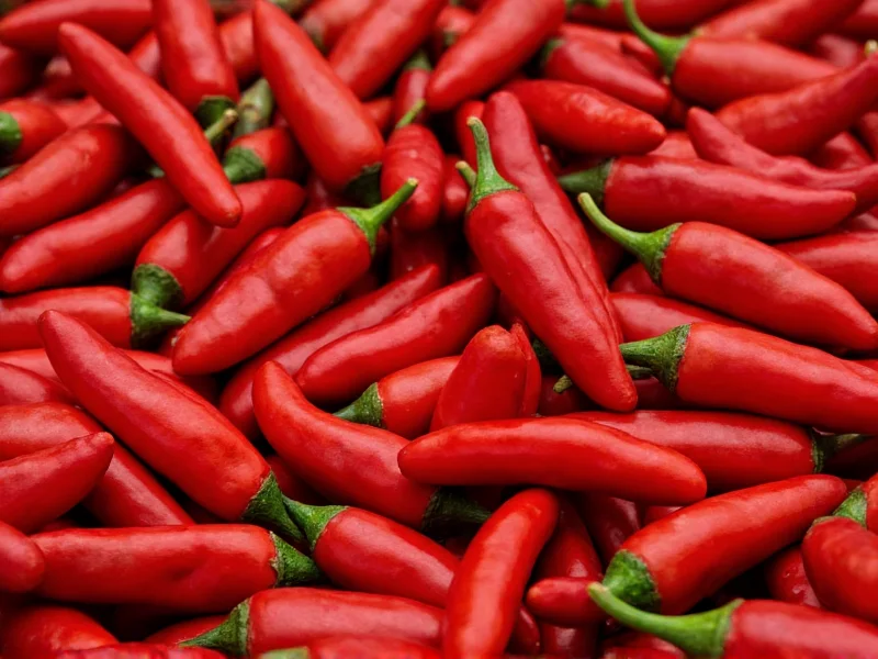 Ancho Chilies Heat Level: Mild to Medium (1,000-2,000 SHU)