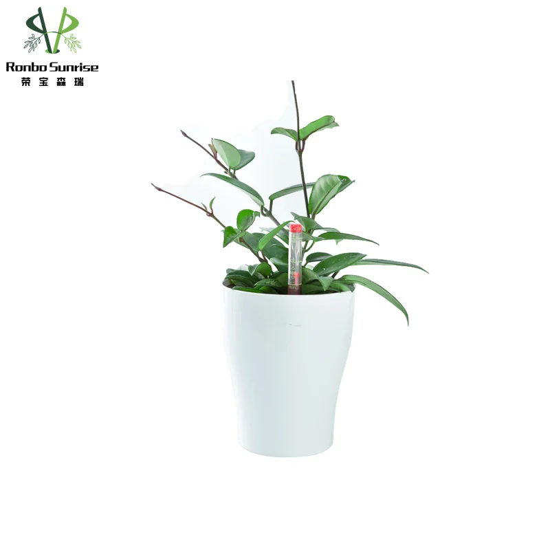 

Hot Sell Wholesale Modern Style Garden Home Decoration Smart Desktop Plastic Self Watering Planter, As picture or customized