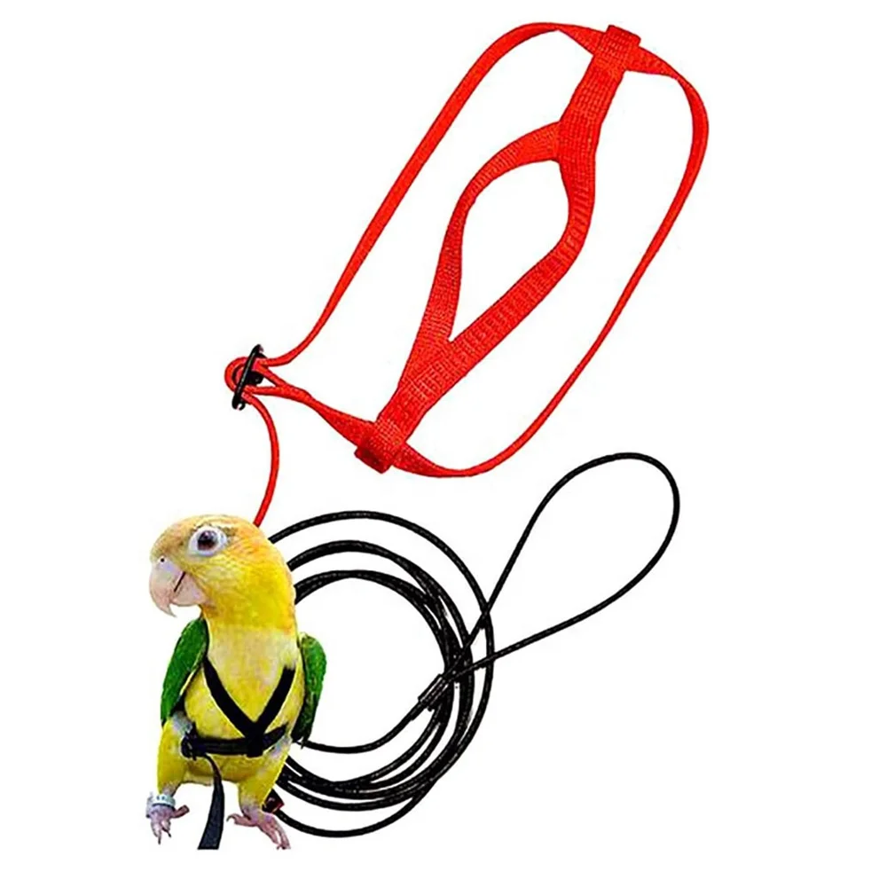 

Bird Parrot Soft harness Adjustable 7colors 5 sizes Parrot Pets Outdoor Flying Training Harness, 4 colors