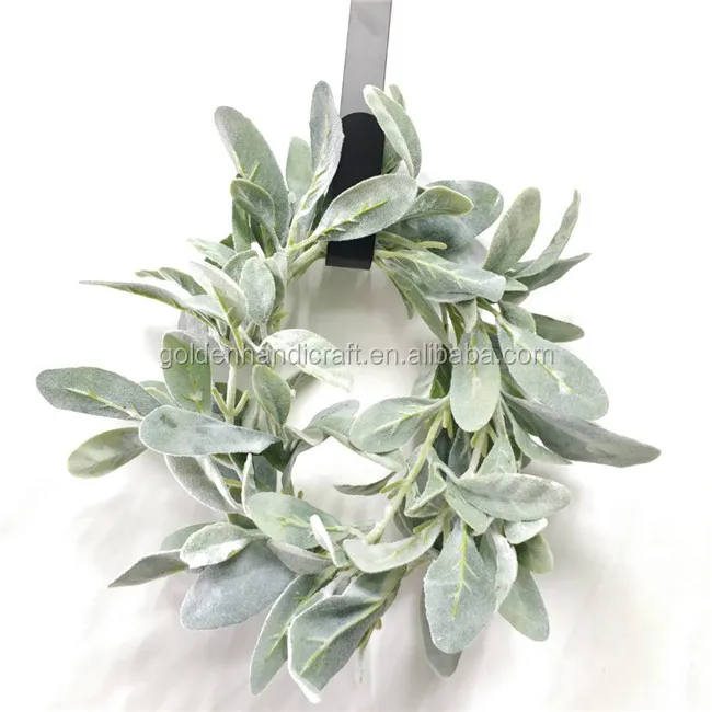 Lambs Ear Leaf01.jpg