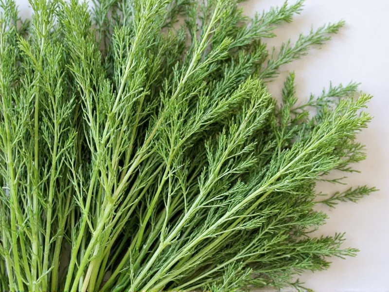 Yes, You Can Dry Dill: Complete Preservation Guide