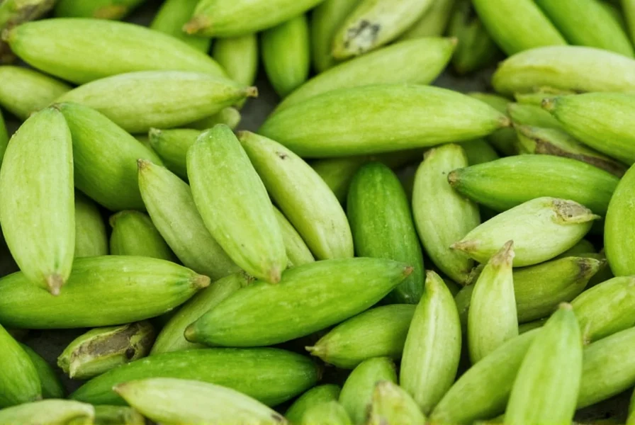 cardamom what is it
