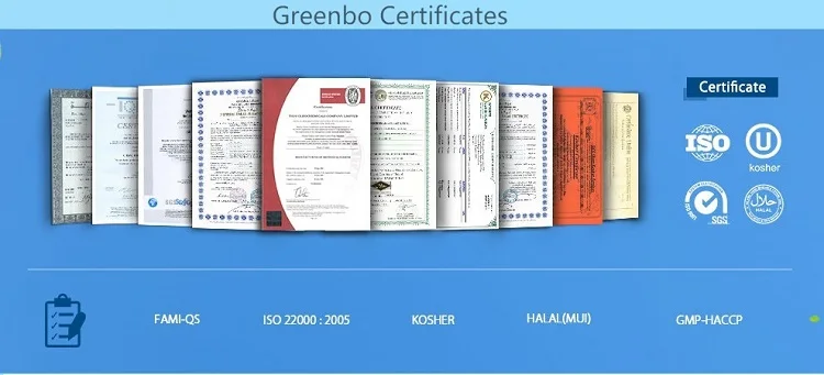 
ISO REACH Verified Producer Supply High Quality CAS No 2440-22-4 2-(2H-Benzotriazol-2-yl)-p-cresol 