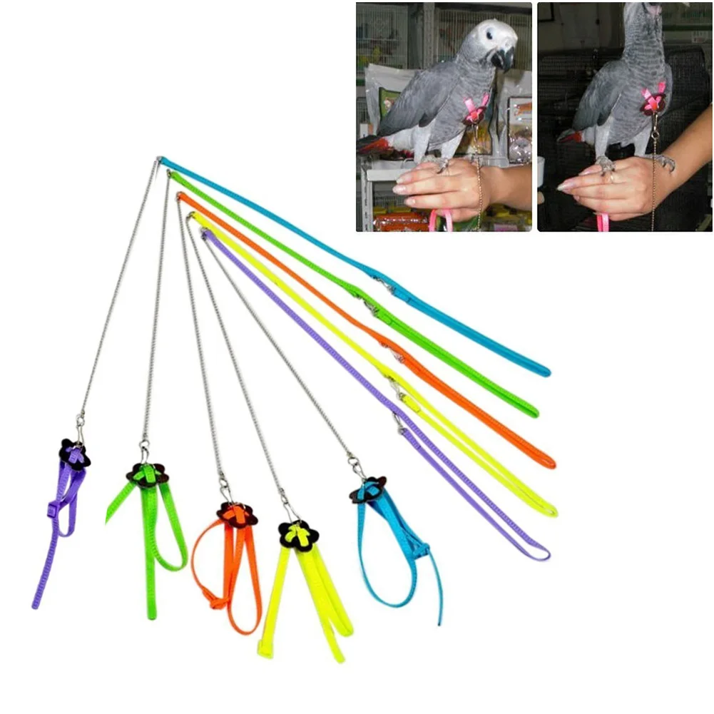 

Pet Parrot Traction Strap Pet Anti-bite Training Rope Outdoor Pet Leash Adjustable Bird Harness